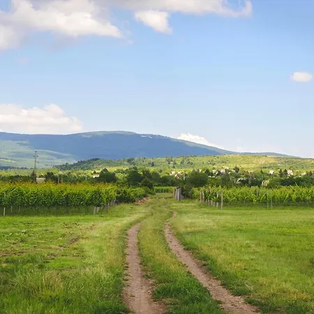 Dominium Pinceszet Es Panzio 3*