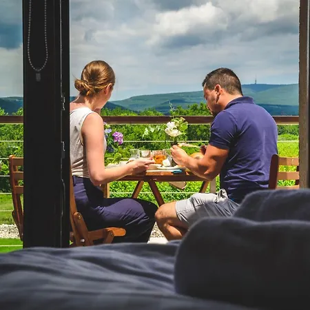 Dominium Pinceszet Es Panzio Bed & Breakfast Gyöngyös