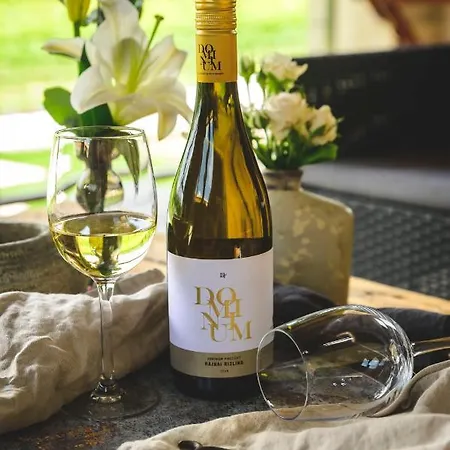 Dominium Pinceszet Es Panzio Gyöngyös