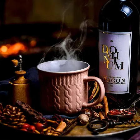 Dominium Pinceszet Es Panzio 3*