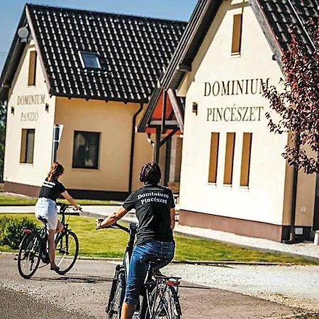 Dominium Pincészet és Panzió Bed and breakfast Gyöngyös