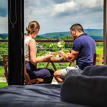 Bed & Breakfast Dominium Pinceszet Es Panzio Gyöngyös